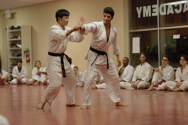 Chang's HapKiDo